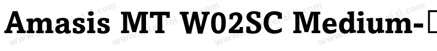 Amasis MT W02SC Medium字体转换